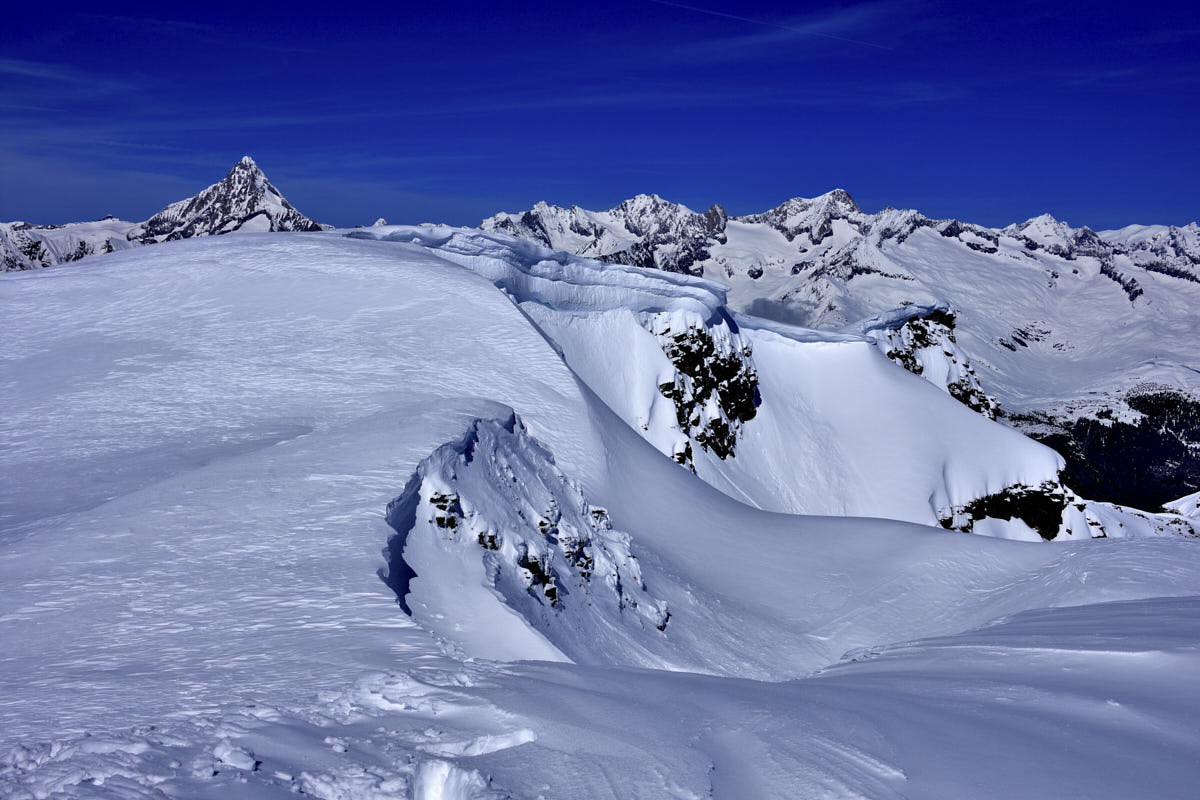 Bietschhorn und Aletschhorn (vom Spitzhorli)