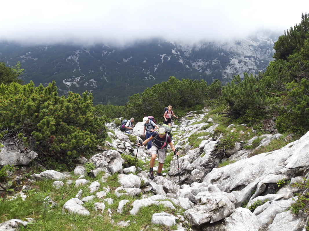 20250628 110239 uebers Hochplateau.jpg