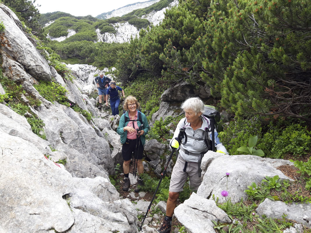 20250628 132833 uebers Hochplateau.jpg