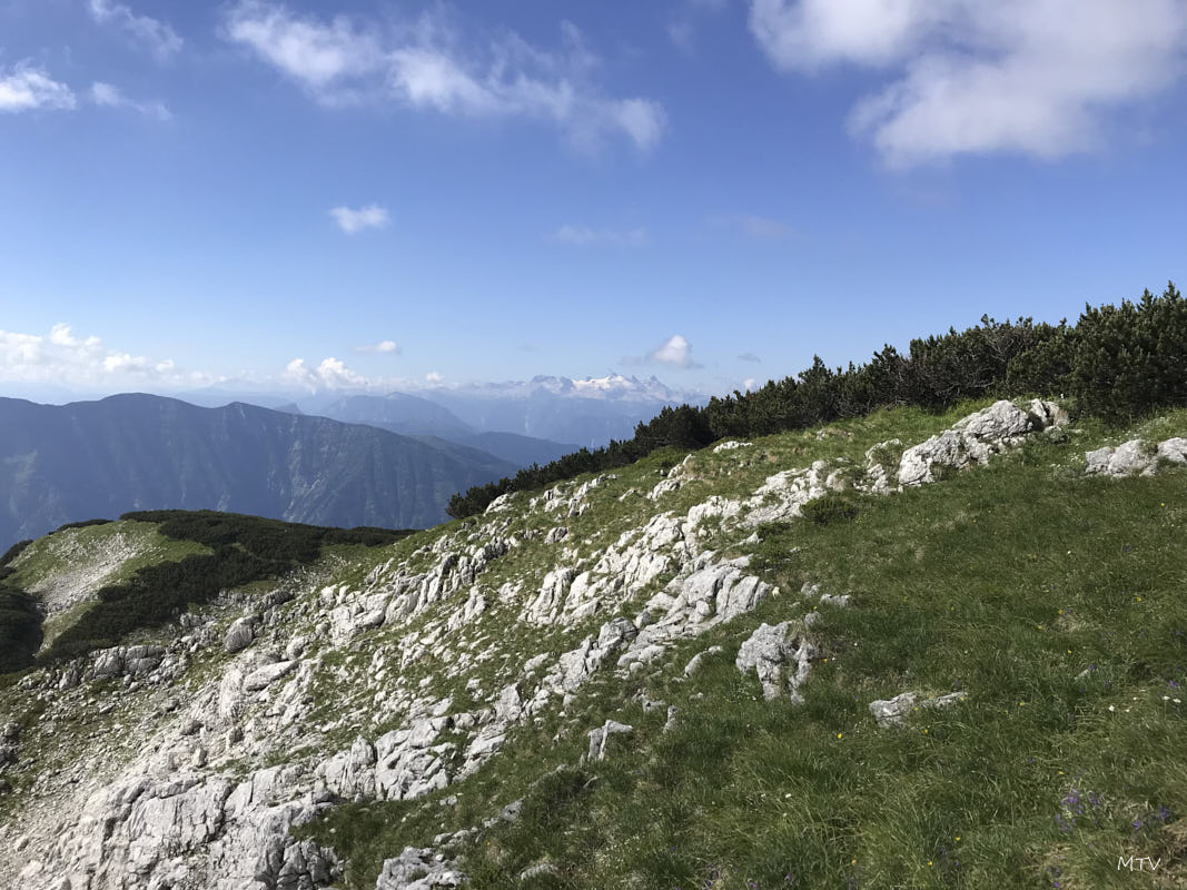 Höllkogel Dachsteinblick