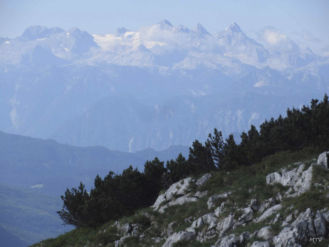 Höllkogel Dachsteinblick