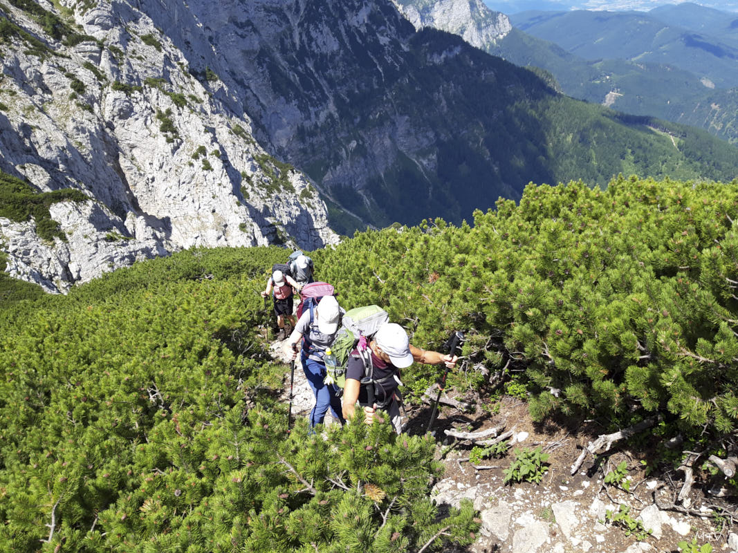 20250629 113159 Anstieg zum Alberfeldkogel.jpg